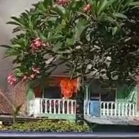 Numpang Tidur, Warga Lumajang Tewas Terpanggang  di Jember