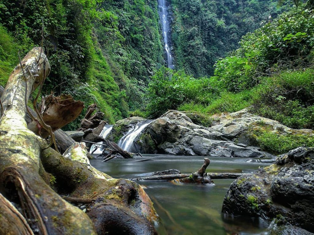 Desa Wisata Ngadirejo