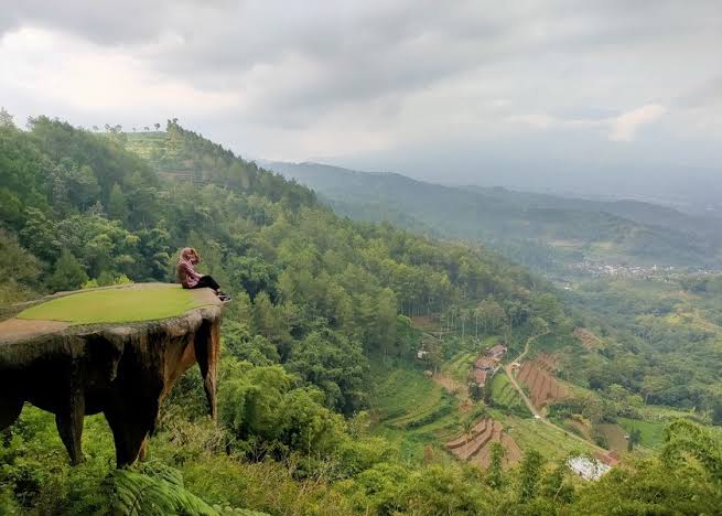 Goa pinus batu