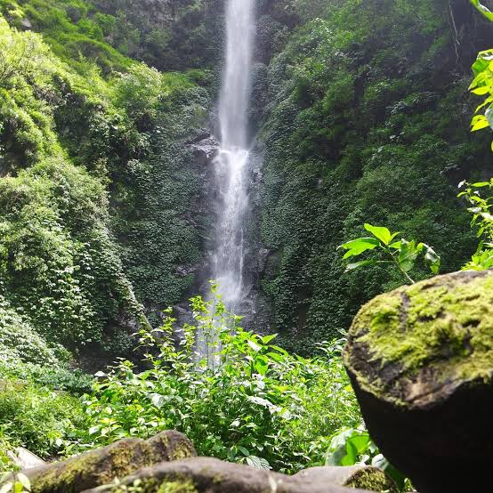 Coban rais batu