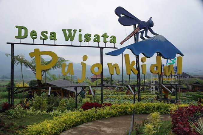 Cafe sawah pujonkidul