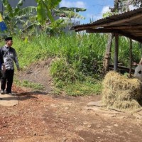 Tahap Akhir Penilaian, Kelurahan Bunulrejo Optimis pada Lomdeskel Provinsi Jatim
