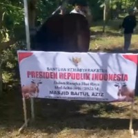 Dinas Peternakan Kabupaten Malang Libatkan Tim Dokter, Periksa Hewan Kurban Presiden Prabowo