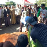 Salurkan Kurban di Desa Sumberejo, Wali Kota Batu Komitmen Kuatkan Pendampingan Peternak Lokal