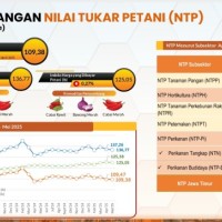 Nilai Tukar Petani Jatim Turun Lagi, Terdalam Subsektor Hortikultura