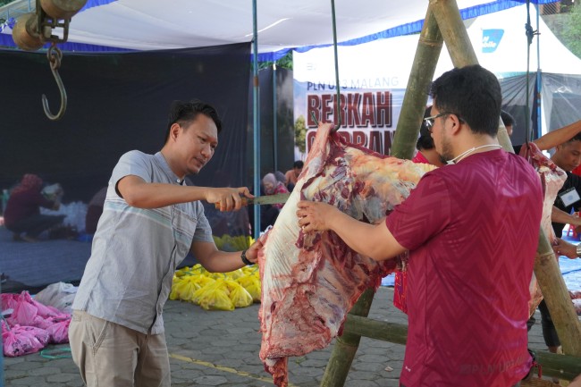 Proses pemotongan daging hewan kurban. (Foto: istimewa)