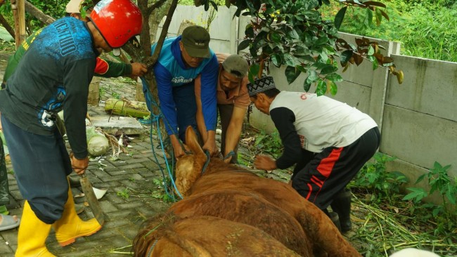 Penyembelihan hewan kurban di Perum Royal Orchid. (Foto: istimewa)