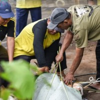 Kurban di MTsN 2 Kota Malang: Wahana Pendidikan Karakter yang Nyata