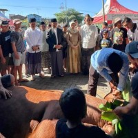 Jumlah Hewan Kurban yang Disembelih di Kota Batu Tahun Ini Menurun, Selisih 12 Ekor