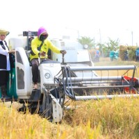 Produksi Padi di Jatim hingga Pertengahan 2025 Nyaris 9 Juta Ton GKP