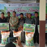 Pemkab Bondowoso Salurkan 130 Ton Pupuk Gratis untuk Dukung Petani Tembakau