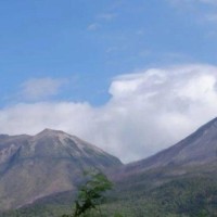 Lewotobi Laki‑Laki dan Perempuan: Apa Bedanya dan Mana yang Lebih Aktif?