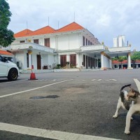 Disebut Terlibat Kasus Korupsi oleh Eks Ketua DPRD Jatim, Gubernur Khofifah Menghilang?