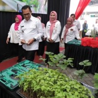 Wali Kota Batu Dorong Generasi Muda Bertani Cerdas Hidroponik dari Rumah