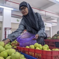Pemkot Batu Wacanakan Sentra Apel di Pasar Induk Among Tani, Gandeng Petani dan UMKM Olahan Produk