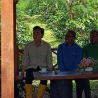 Wapres Gibran Kunjungi Kebun Kopi di Bondowoso: Petik Kopi dan Berdialog dengan Petani