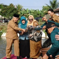 Kuatkan Gerakan Gemar Makan Ikan, Bupati Sanusi Panen Ikan Nila 7 Ton di Desa Sumberporong Lawang