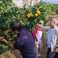 Mendes-PDT Bakal Kaji Hilirisasi Produk Pertanian Jeruk di Kabupaten Malang
