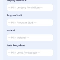 Cara Pengisian Daftar Riwayat Hidup PPPK 2024 di SSCASN