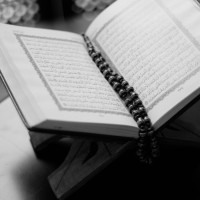 Menyelami Kedalaman Makna Surah An-Naml: Kisah Nabi, Tanda Ilahi, dan Hikmah Kehidupan