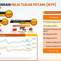 Nilai Tukar Petani Jatim Juni 2025 Naik 2,75 Persen, Tertinggi di Pulau Jawa