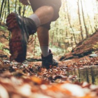 Jangan Asal Pilih! Ini Rekomendasi Sepatu Hiking Nyaman Buat Penjelajah Alam
