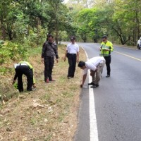 Sekeluarga Ditabrak Pickup di Kawasan Hutan Baluran Situbondo, Dua Balita Tewas dan Orang Tua Luka-Luka
