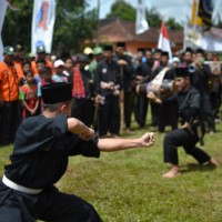 PSHT Jember Larang Anggota Konvoi dan Rusuh, Siap Dihukum jika Pelanggaran Terjadi