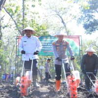 Dukung Swasembada Pangan 2025, Polres Bersama Forkopimda Ngawi Tanam Jagung 