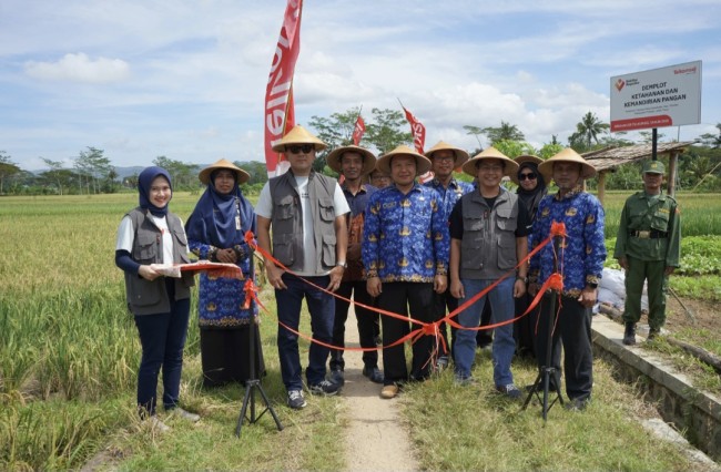 Implementasi Integrated Farming Demonstration Plot. (Foto: istimewa)