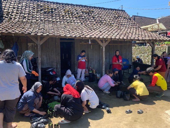 Momen tim KKN UB melakukan teknik fermentasi dengan memanfaatkan bahan-bahan lokal seperti batu gamping, phosphate, dogumon, sulfox, serta ramuan cair fermentasi tradisional. (Foto: istimewa)