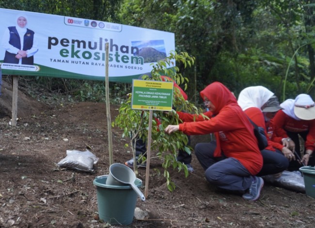 Momen peserta Ekspedisi 80 menanam bibit pohon di Arjuno. (Foto: istimewa)