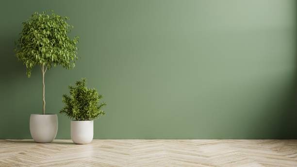Cat warna hijau. (Foto: iStock) 