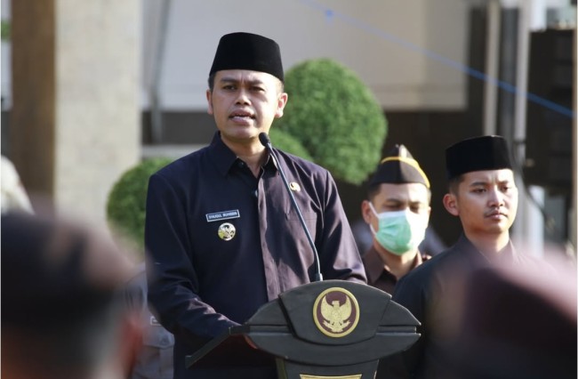 Mas ibin