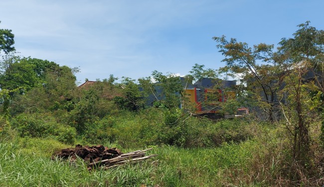 Tampak bangunan rumah milik Heru Prijanto (genteng cokelat) yang tertutup rerumputan dan tembok Perumahan BCT Malang.