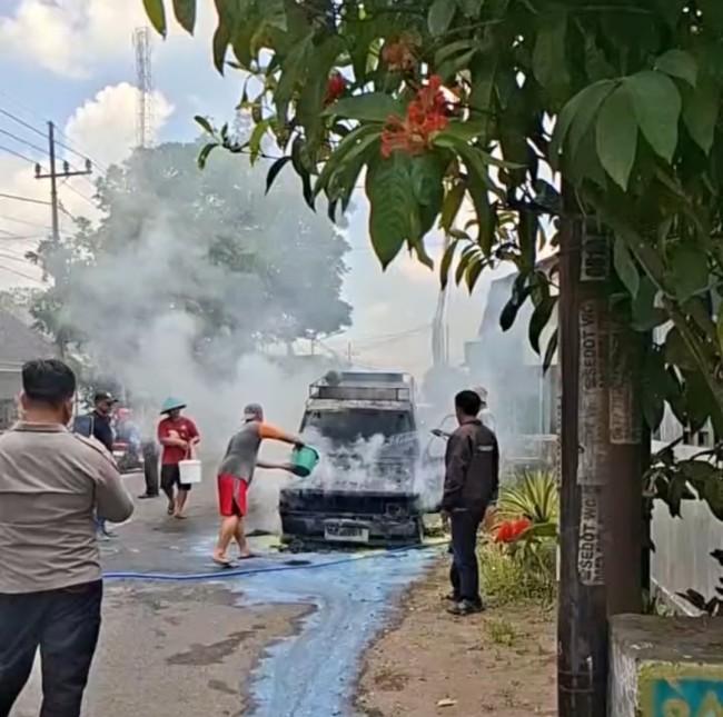 Kijang terbakar