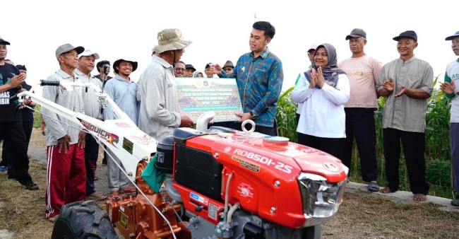 Ibin traktor