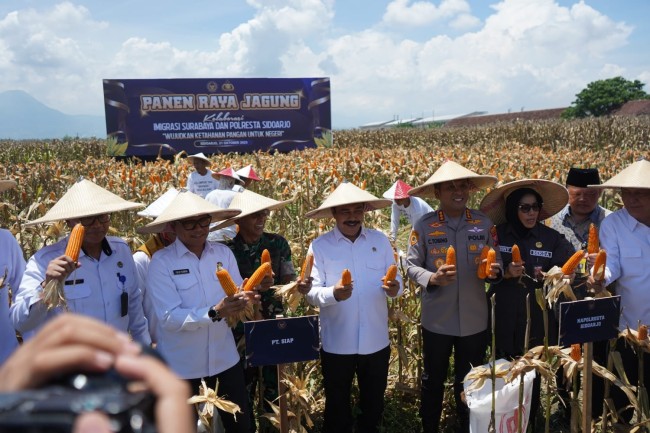 Panen Raya Jagung Bersama di Sidoarjo. (Foto: istimewa) 