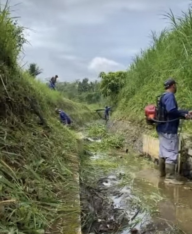 Tampak petugas membersihkan rumput di daerah irigasi Karangkates. (Foto: Instagram)