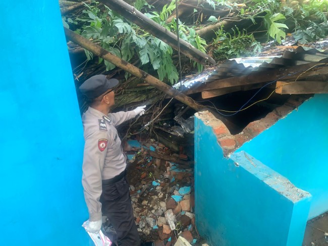 Polisi saat melakukan penyelidikan pohon tumbang yang menewaskan seorang warga di Kecamatan Lawang pada Sabtu (6/12/2025).