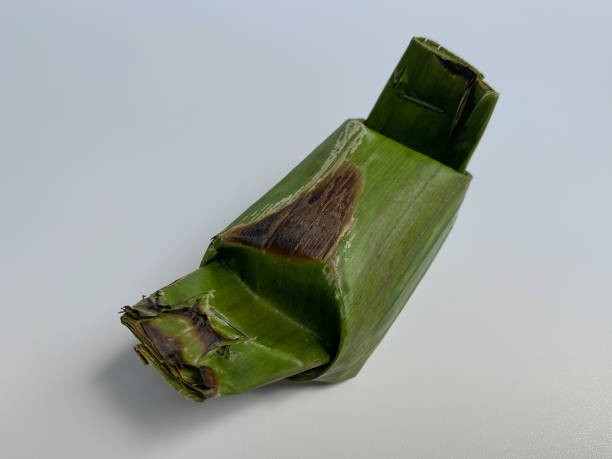 Nasi bakar. (Foto: iStock) 