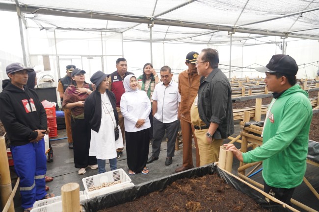 Wakil Bupati Malang Lathifah Shohib saat berkunjung ke Desa Ngadas, Kecamatan Poncokusumo, Kabupaten Malang.