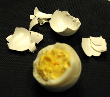 Gambar 3. Susunan fisik dari telur ayam. Ada kulit, ada putih telur dan ada kuning telur. (FOTO: istimewa)