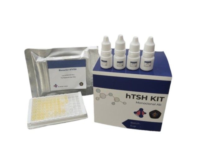 Deteksi Dini Hipotiroid Kongenital (HK) Berbasis Antibodi Poliklonal Hasil Induksi Protein Rekombinan human Thyroid Stimulating Hormone (hTSH) dengan Metode ELISA. (Foto: istimewa)